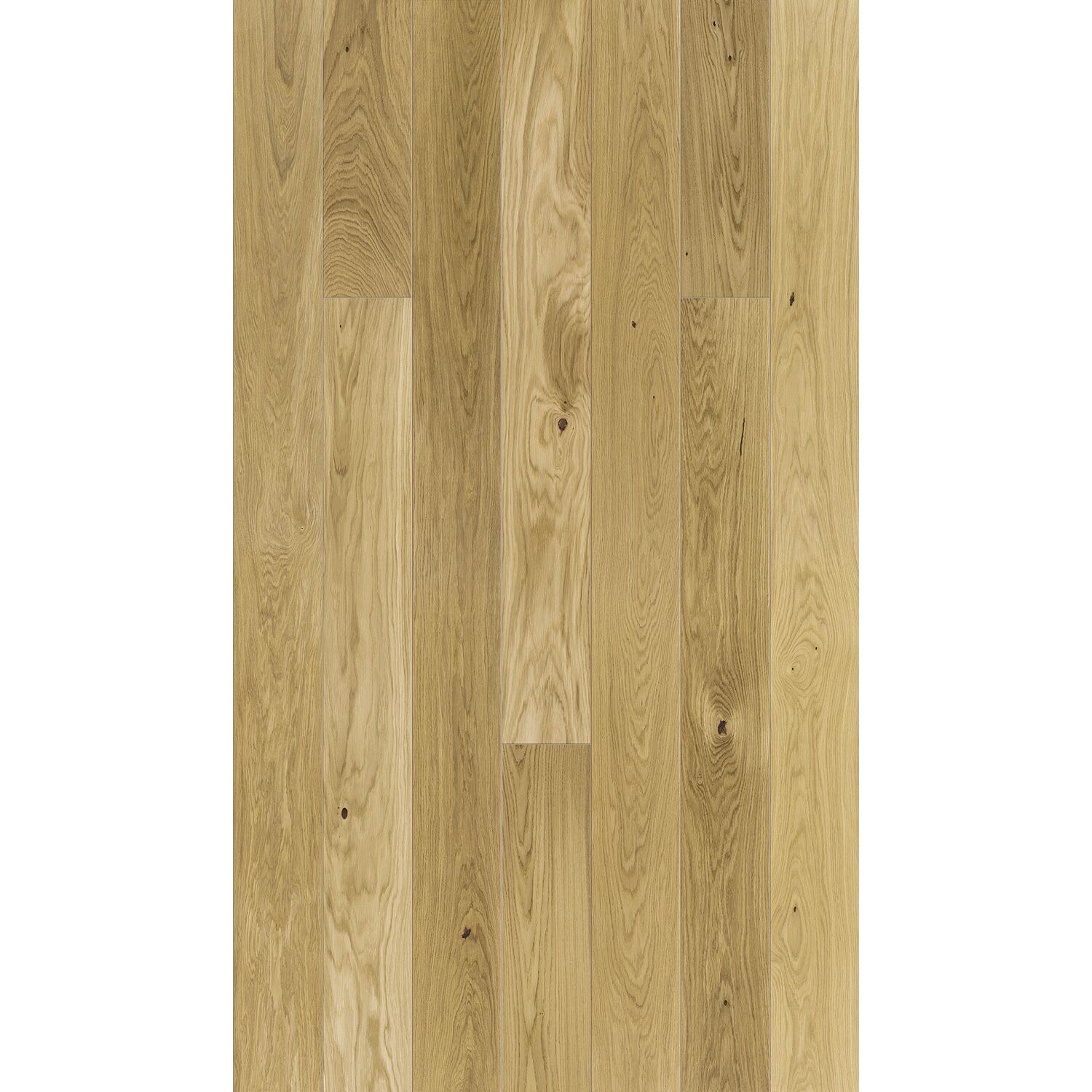 DV005-ppic_111746400_Solido_LHD_Eiche_ruhig_natur_0